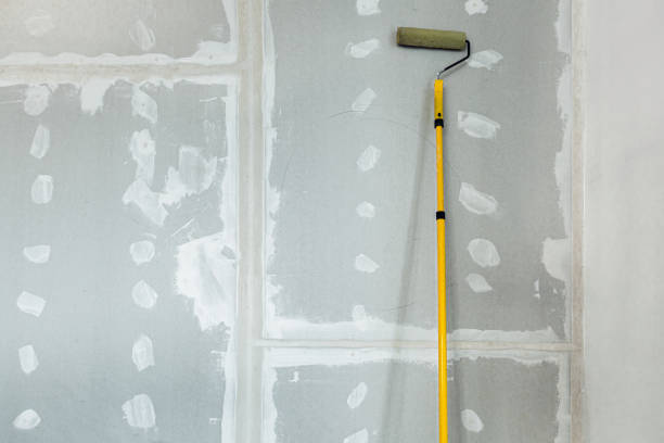  Spring Valley, NY Drywall & Painting Services Pros